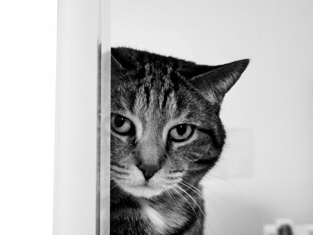 zaz  had photo!!!!